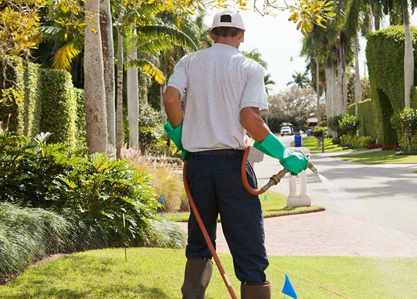 About Emporium PA Pest Control